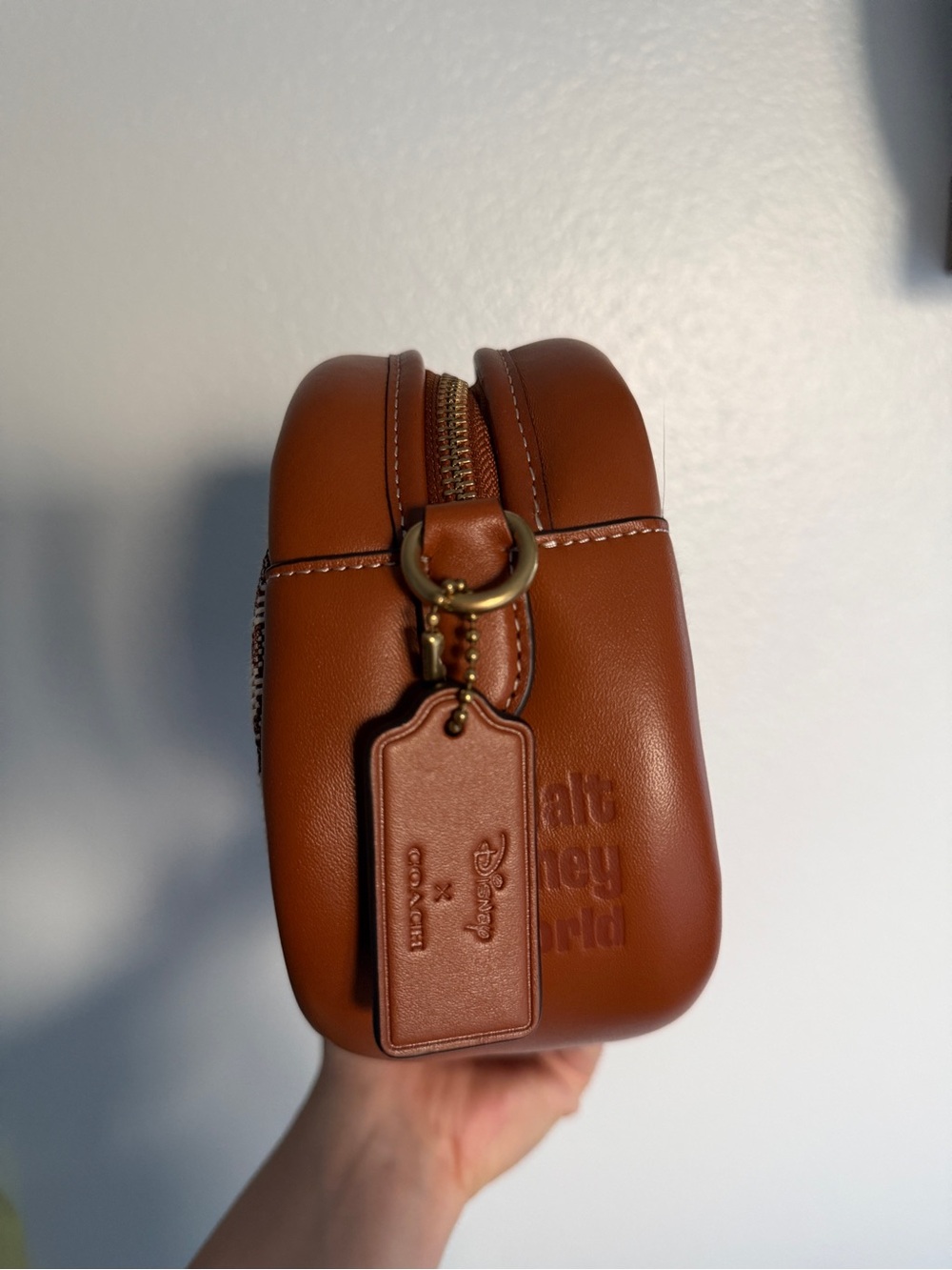 Disney x Coach Signature Jacquard Camera Bag - Picture 4 of 12